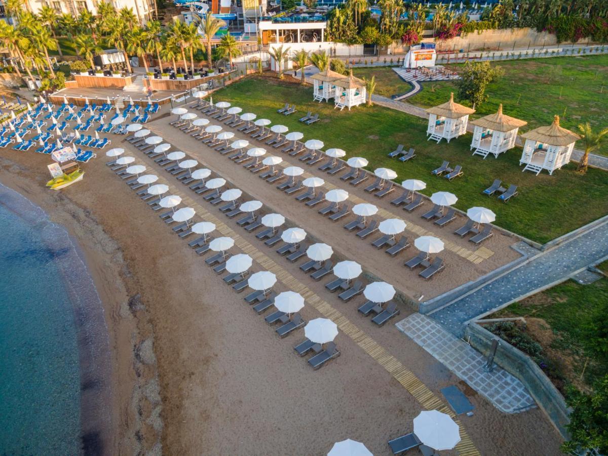 Lonicera Premium (Adults Only) Avsallar Dış mekan fotoğraf